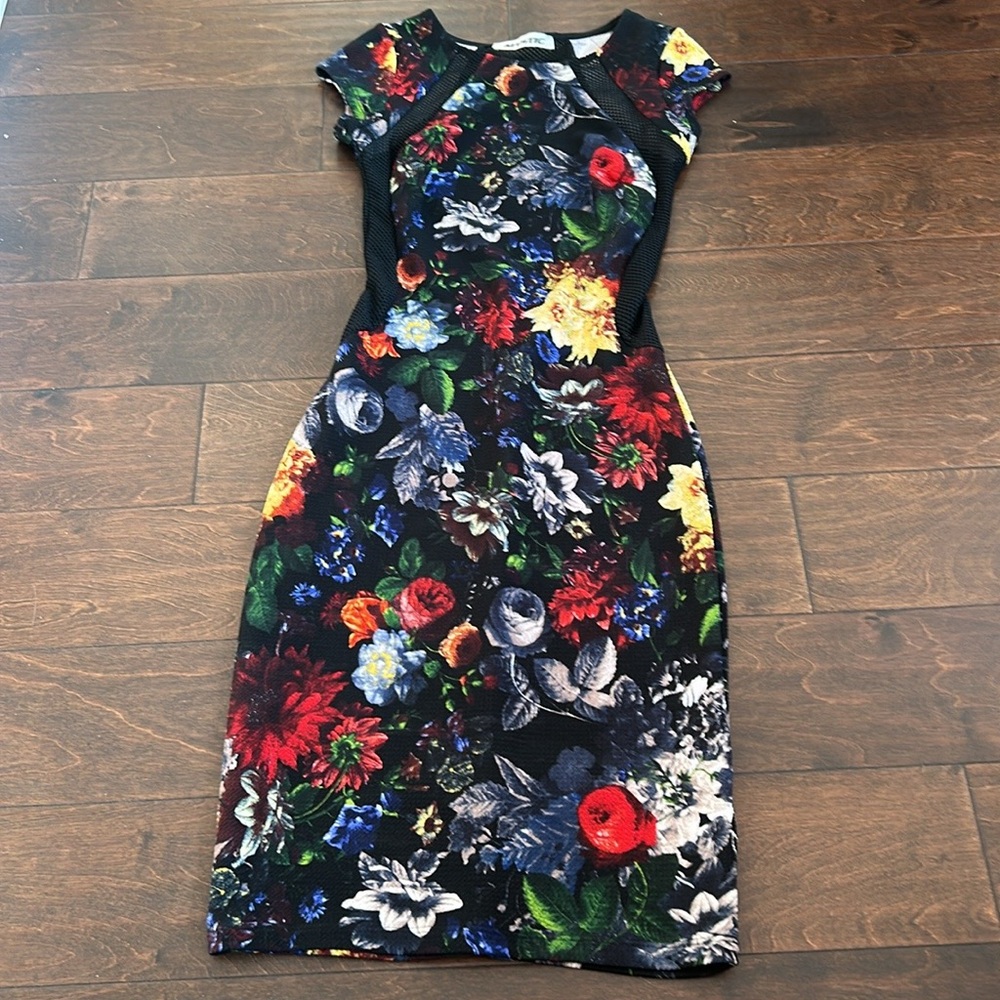Mystic Womens Dress Sz XS Floral Mesh Inserts ST2125